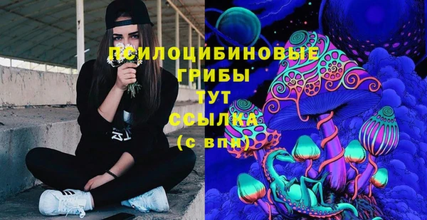 гидра Бугульма