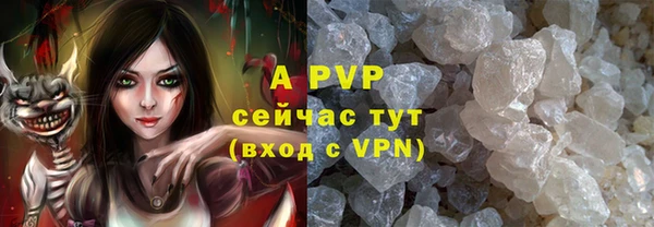 гидра Бугульма