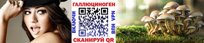 Псилоцибиновые грибы Psilocybine cubensis  Купить закладки  Пустошка 